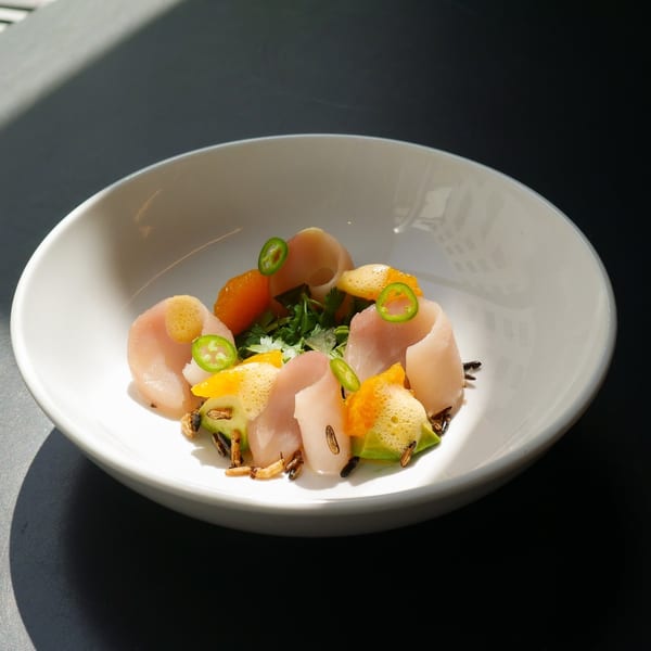 Broma Restaurant's scallop dish with citrus, avocado, jalapeno, and cilantro in a white bowl.