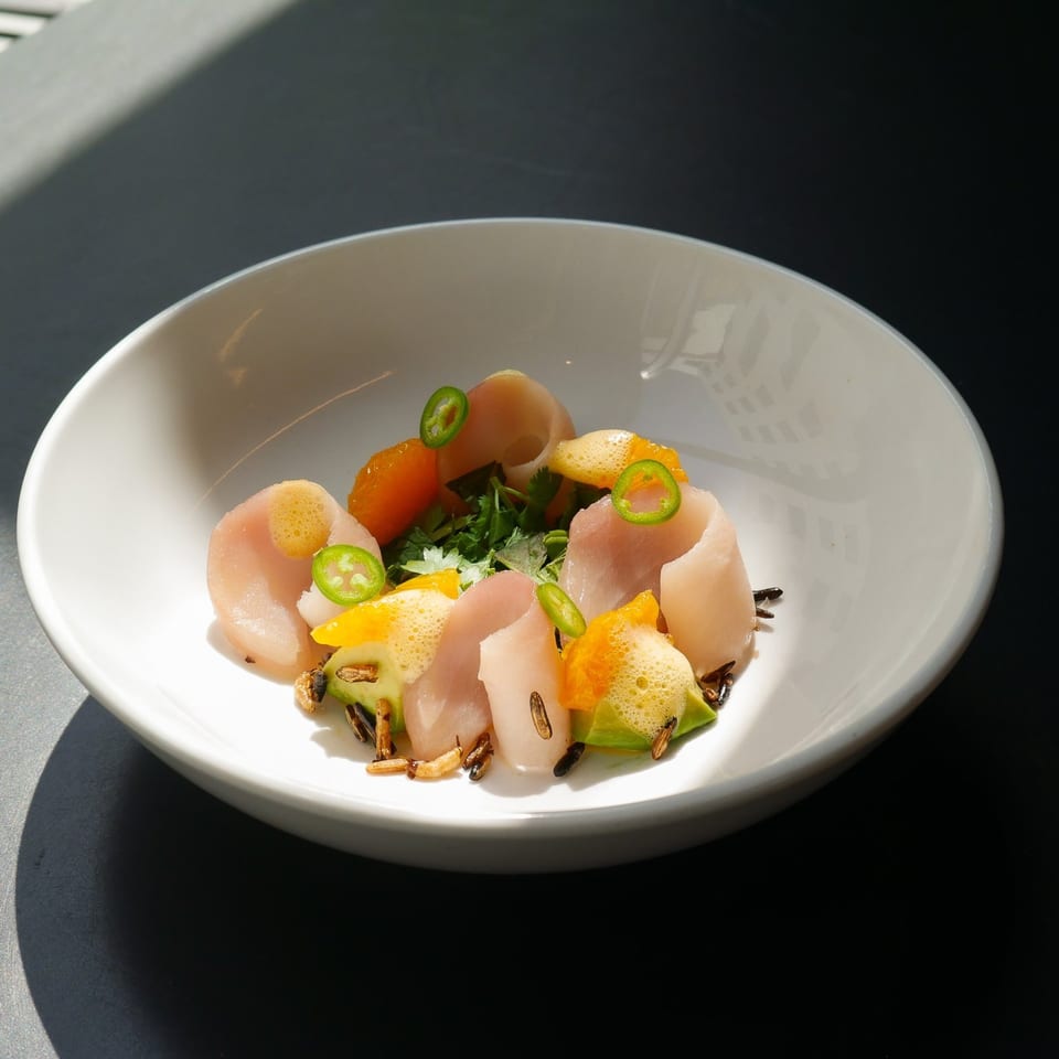 Broma Restaurant's scallop dish with citrus, avocado, jalapeno, and cilantro in a white bowl.