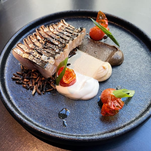 Grilled fish with sauces, roasted tomatoes, and crispy garnish on a dark plate at Broma Restaurant.