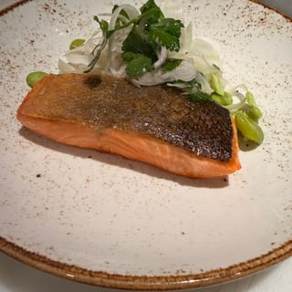 Glory Bay Salmon